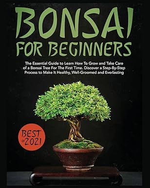 Amzn Kindle Publisher